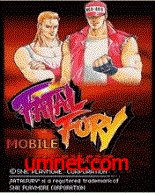 game pic for Fatal Fury